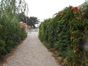 Plein SUD, 5 mn de la mer, grand logement 8 personnes